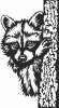 Raccoon behind tree - Para archivos DXF CDR SVG cortados con láser - descarga gratuita