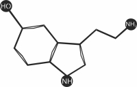 Serotonin Chemistry Symbols - Para archivos DXF CDR SVG cortados con láser - descarga gratuita
