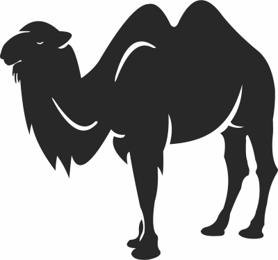 camel silhouette cliparts - fichier DXF SVG CDR coupe, prêt à découper pour plasma routeur laser