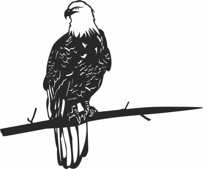 Bald eagle on a branche wall art  - For Laser Cut DXF CDR SVG Files - free download